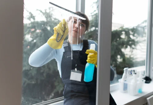 Nettoyage de vitres intérieures et extérieures à Assieu